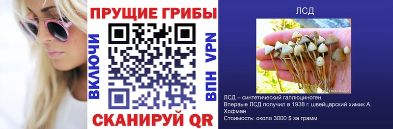 Псилоцибиновые грибы прущие грибы  как найти   OMG рабочий сайт  Игарка 